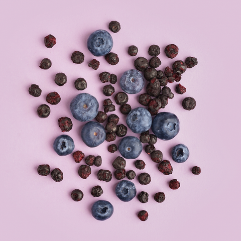 Dried Blueberries